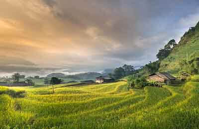 農(nóng)村公共文化論文