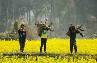 鄉村振興中農村體育發展問題研究