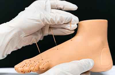 中醫基礎理論辯證