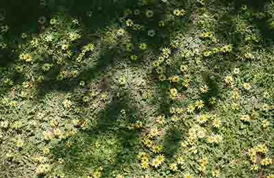 自然地理環境研究