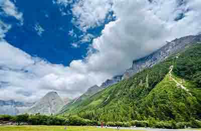 “低碳”綠色革命