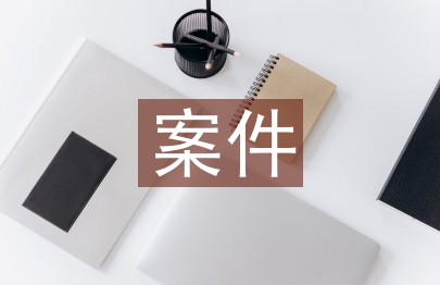 案件匯報(bào)材料