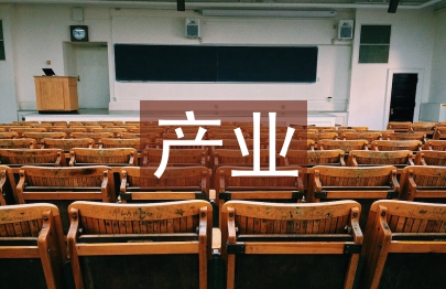 產(chǎn)業(yè)經(jīng)濟(jì)學(xué)論文