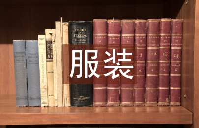 服裝招商工作總結(jié)