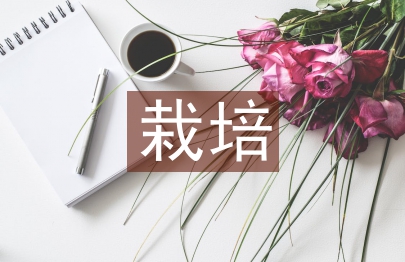 獼猴桃栽培管理技術