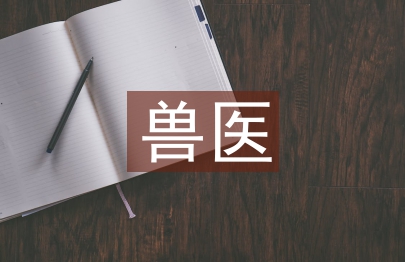 獸醫(yī)個人工作計劃