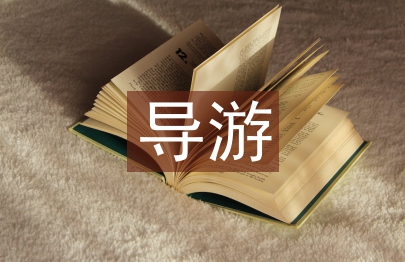 導(dǎo)游實(shí)訓(xùn)總結(jié)