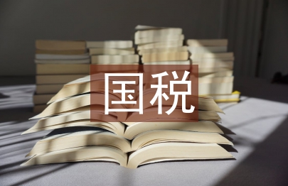 國稅黨建工作要點