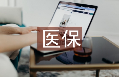 醫保科年終總結