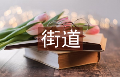 街道科員述職報告