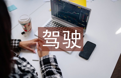 駕駛學習經驗總結