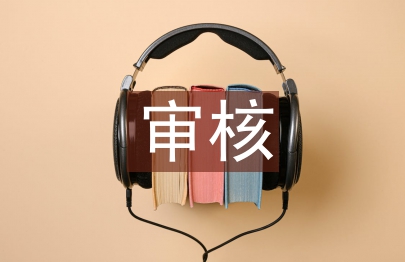 低保審核工作總結(jié)