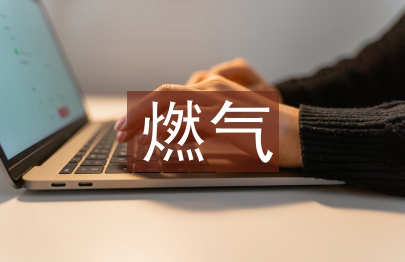 燃?xì)獍踩芾斫ㄗh