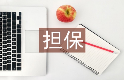 擔保業務工作計劃