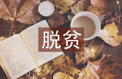 村級脫貧攻堅工作總結