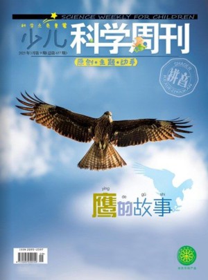 少兒科學周刊